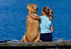 cane al mare
